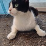 Meet Barbara! (Homed)