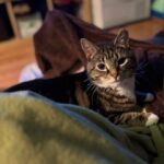 Meet Binky!